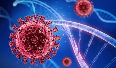 إكتشاف جين يقلل من مخاطر الوفاة بسبب فيروس كورونا