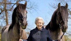 الملكة إليزابيث الثانية وحبها للخيول والكلاب