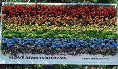 تشويه لوحة إعلانات لدعم المثليين في بيروت